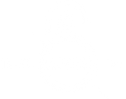 TravelArmorCase